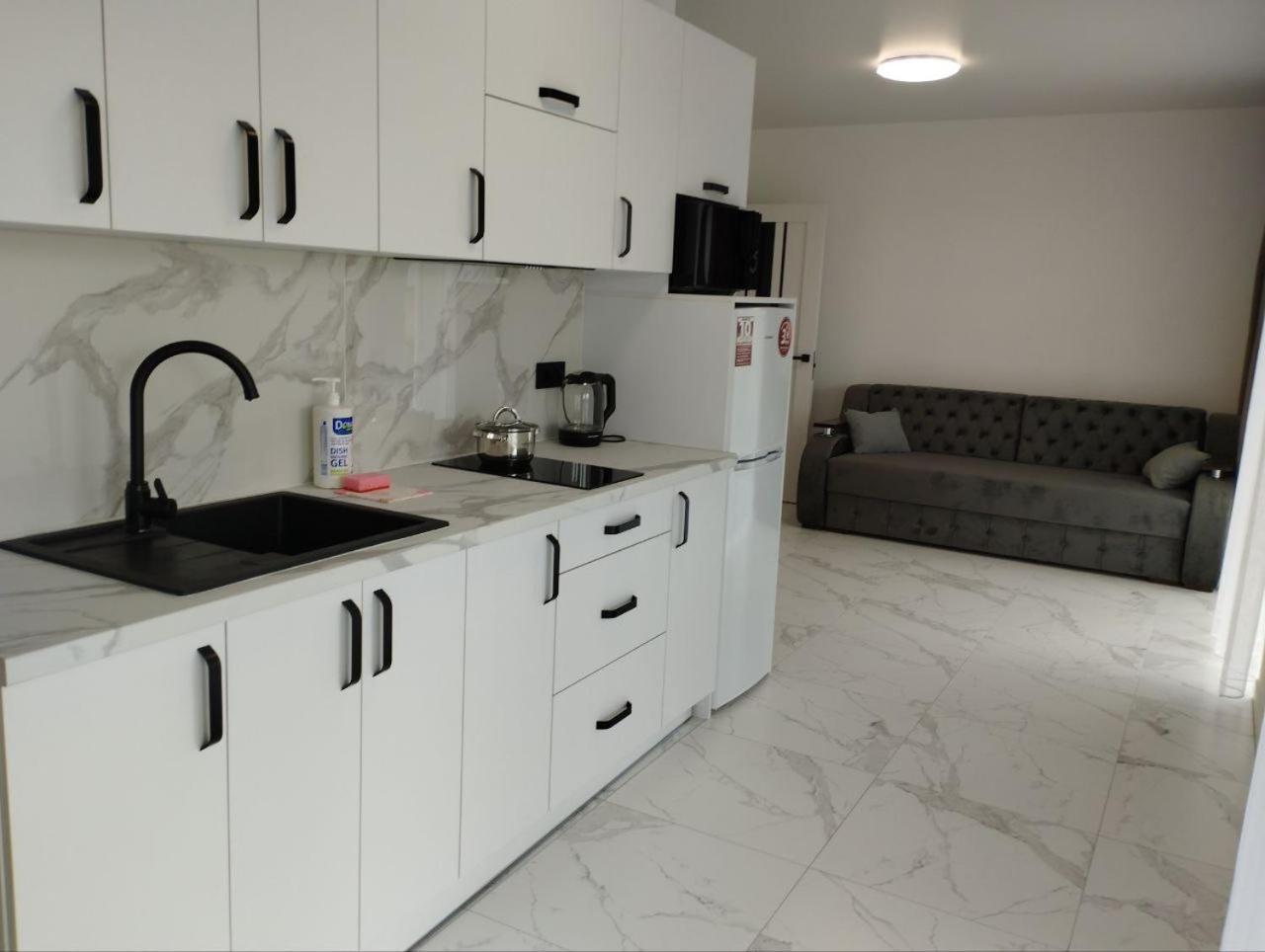 Перлина Карпат Apartment Skhidnytsia Exterior photo